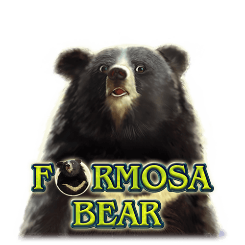 Slot Formosa Bear, dicas de apostas, cassino online, estratégias de jogo